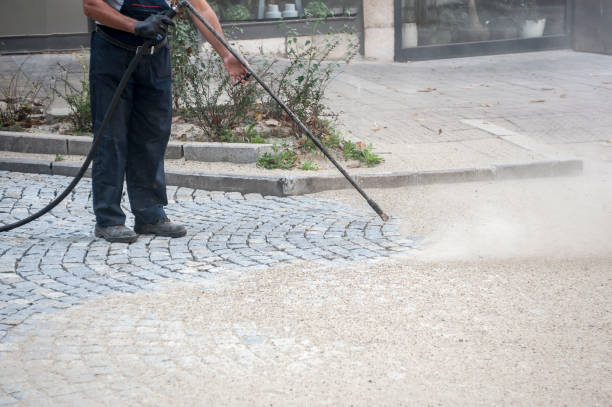 Best Spring Cleaning  in Lewistown, IL
