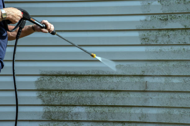 Best Gutter Cleaning  in Lewistown, IL